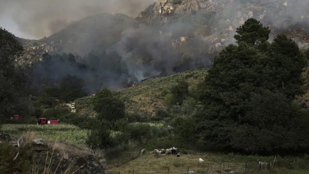 Flames that broke out in Portalegre headed towards Castelo de Vide