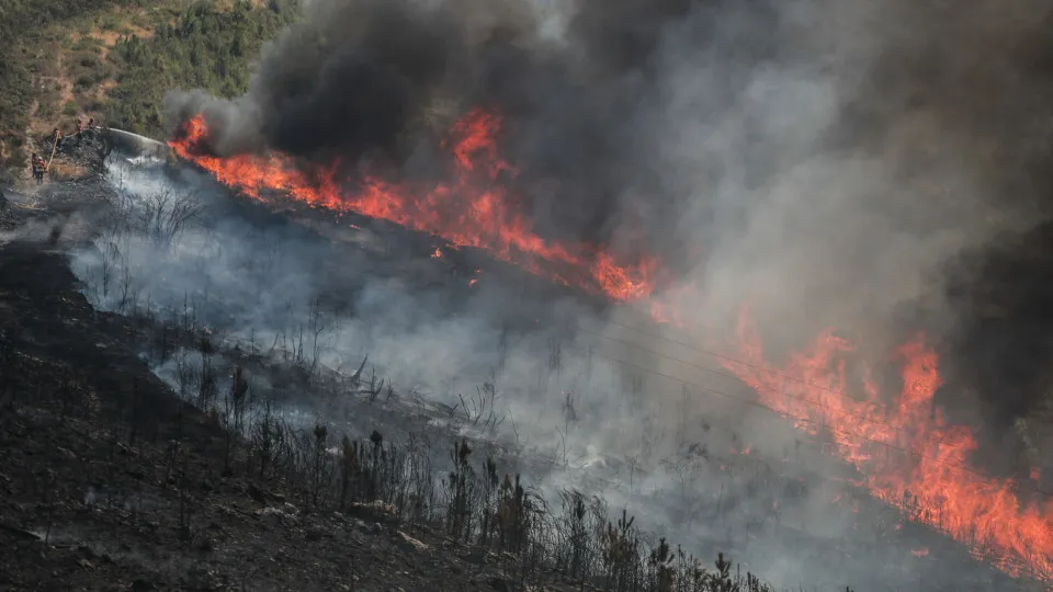 GNR has already arrested 44 arsonists and issued nearly 1,500 fines.