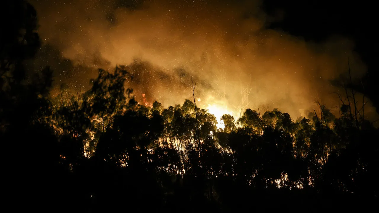 Góis hopes that the fire "will be resolved as quickly as possible"