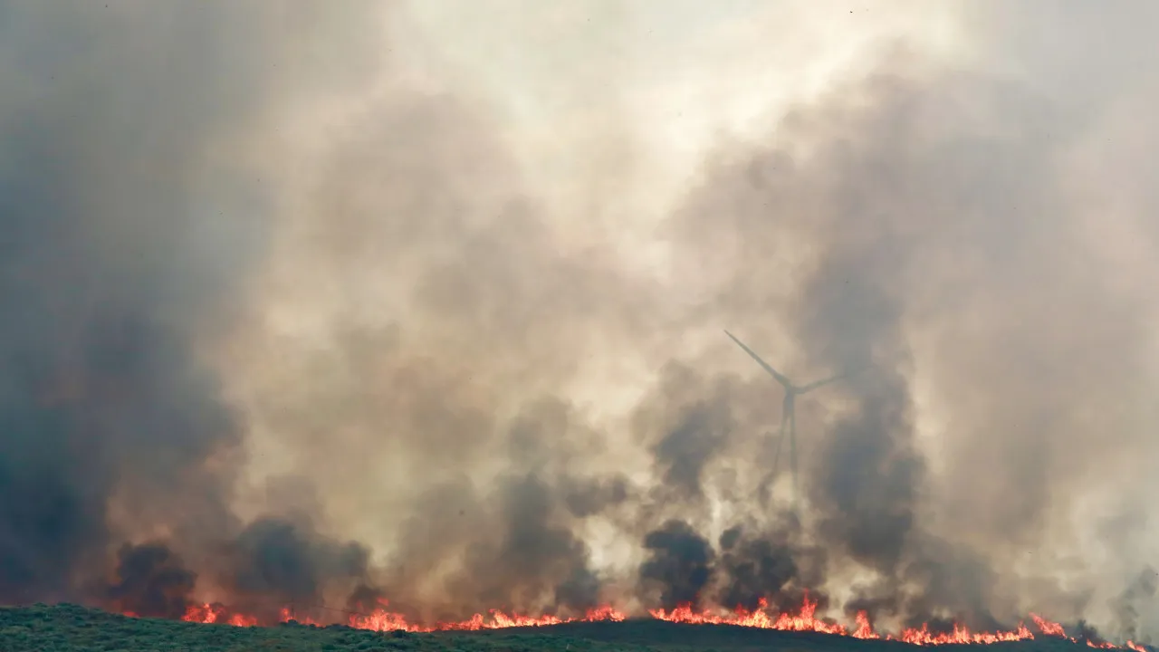 Government has already received five thousand requests for help due to the fires.