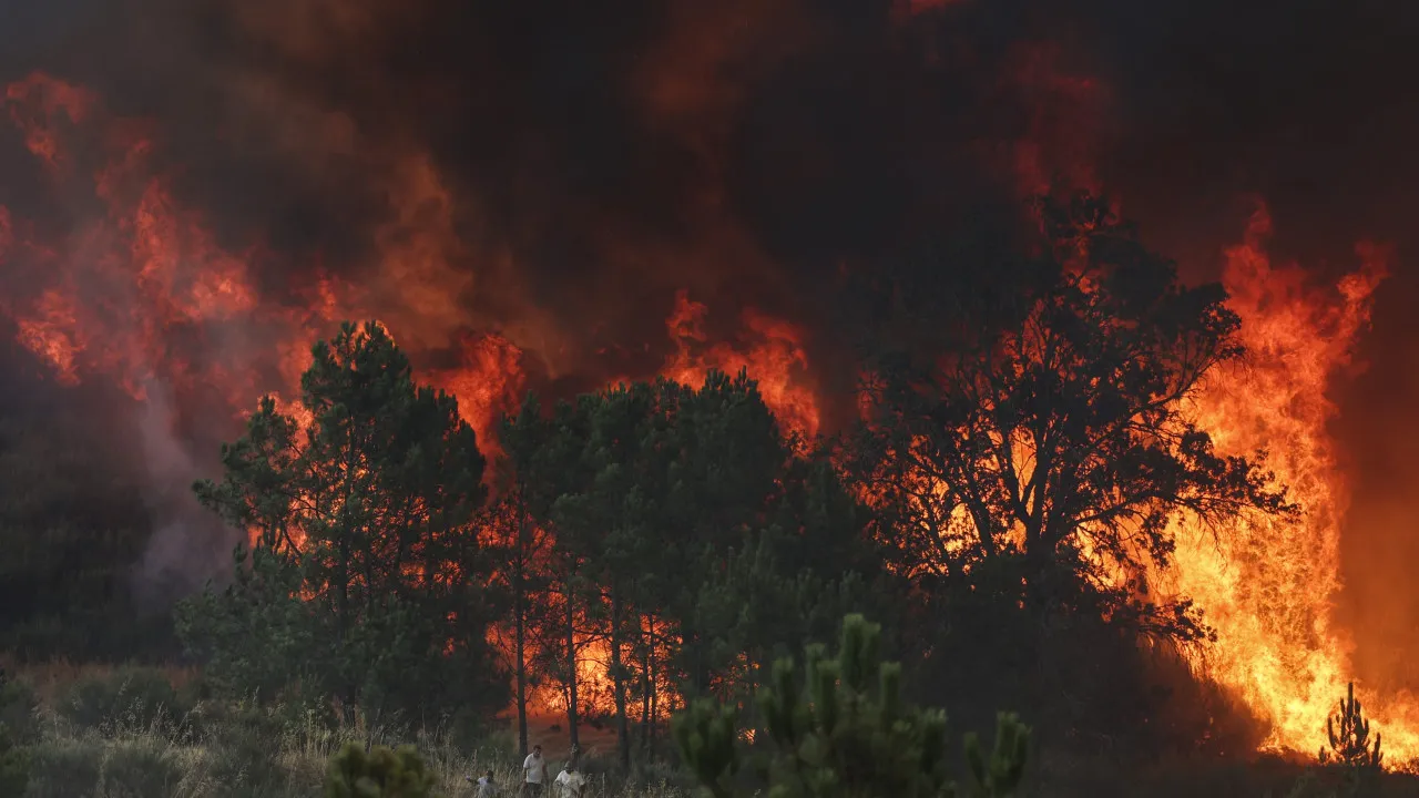He is 80 years old, was a forest ranger, and sees his house burning: "I don't know what to do"