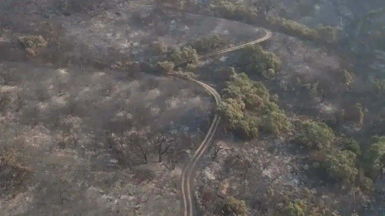 "Heart of Trás-os-Montes is black." Video shows fire destruction.
