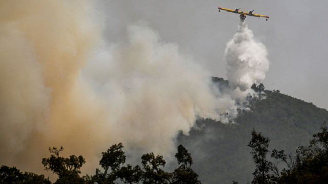 "I would say it is natural". Damages in 'Canadair' will be at the "engine level"