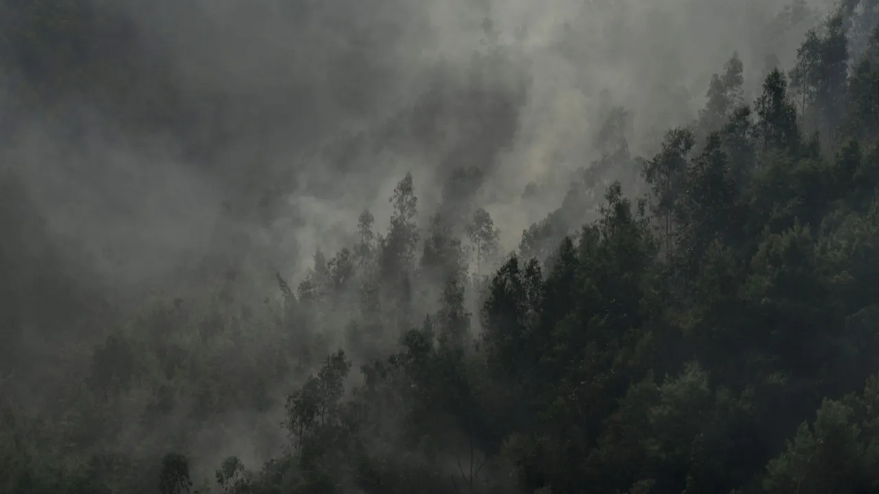 ICNF calls for the suspension of hunting due to the alert situation