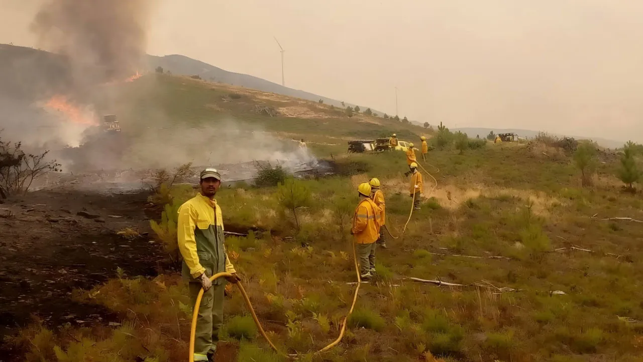 Immigrants make the news in Bangladesh for fighting fires in Portugal