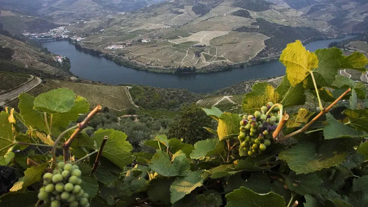 International Douro Biennial opens at the Côa Museum and extends until 2026