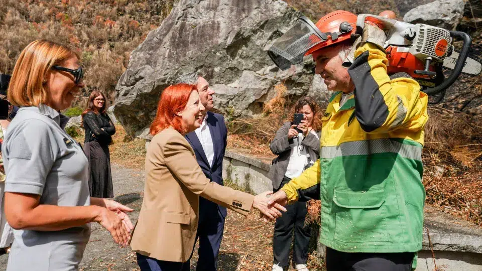 International Douro fire is "an environmental and landscape catastrophe"