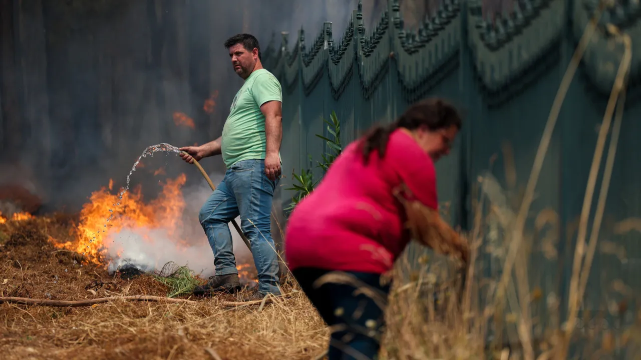 IRA saves hundreds of animals from the flames in six days in Portugal