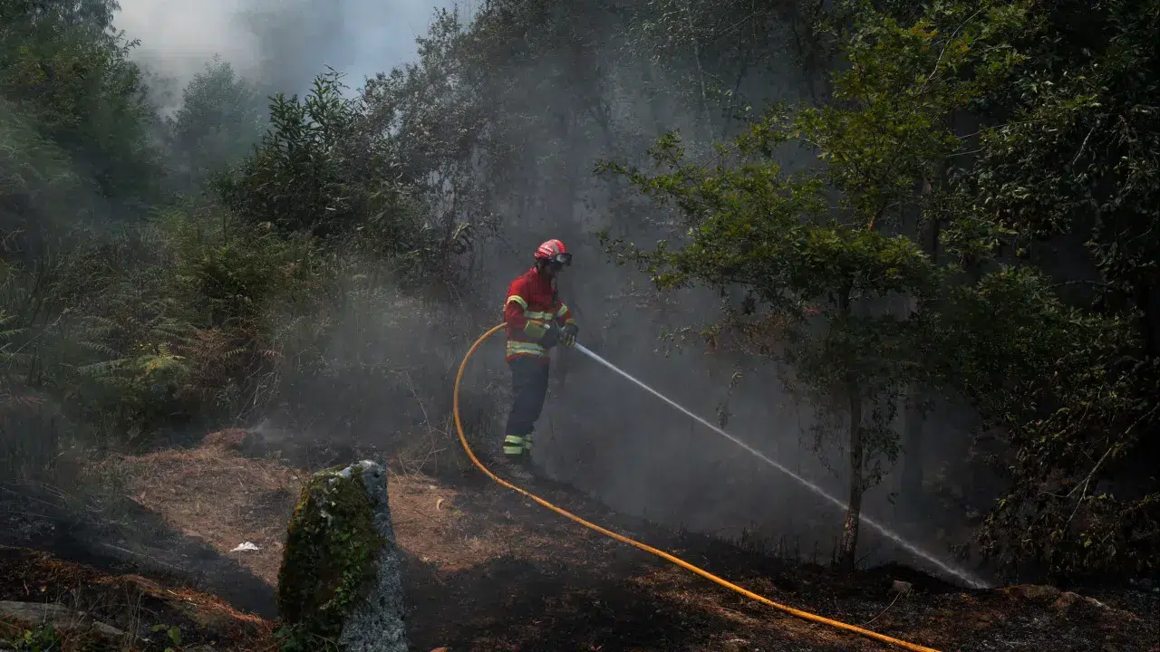 Is he a firefighter? DGS explains how to eat for fighting fires