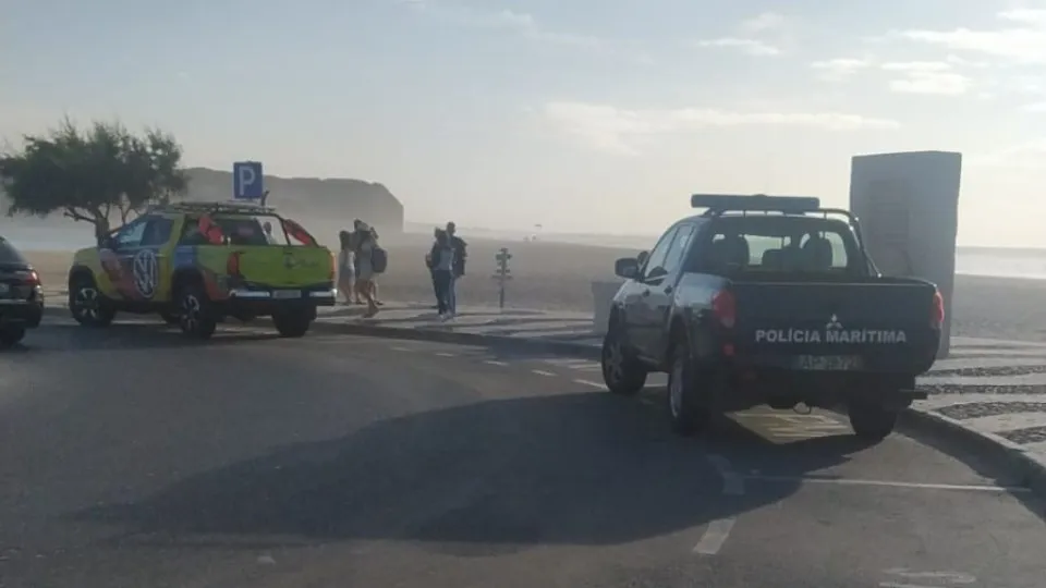 Lifeguards in "trouble in the water" while trying to help a colleague