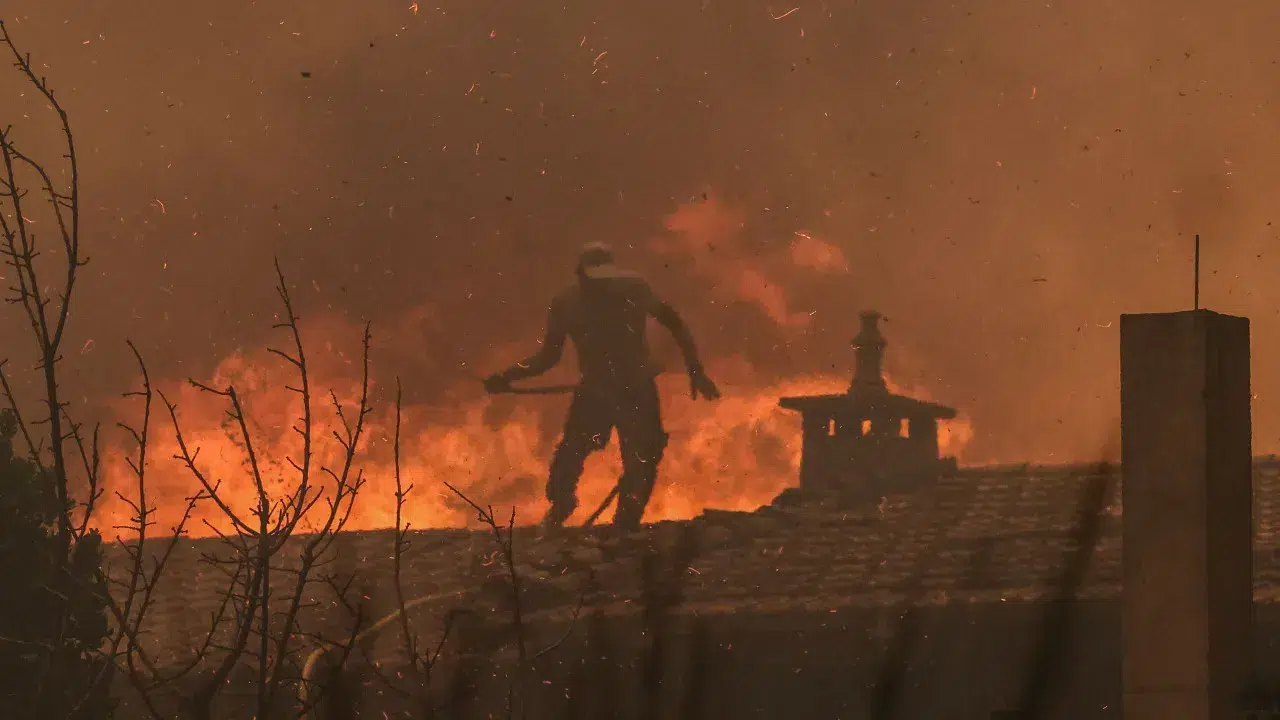 Livre, PCP, and BE accuse the Government of detachment and lack of response to the fires