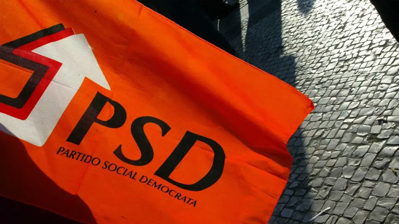 Local elections. PSD bets on metropolitan areas and broad coalitions