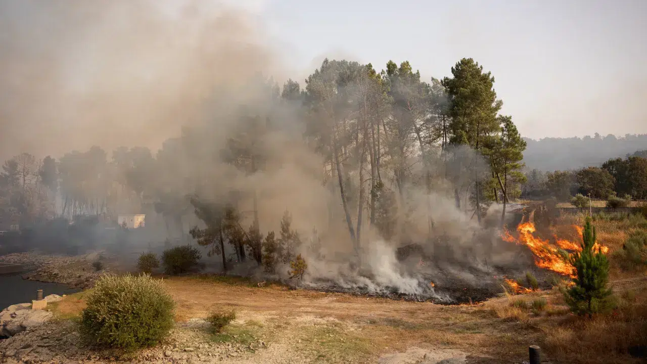 Locals and even Spanish volunteers try to contain the fire in Chaves.