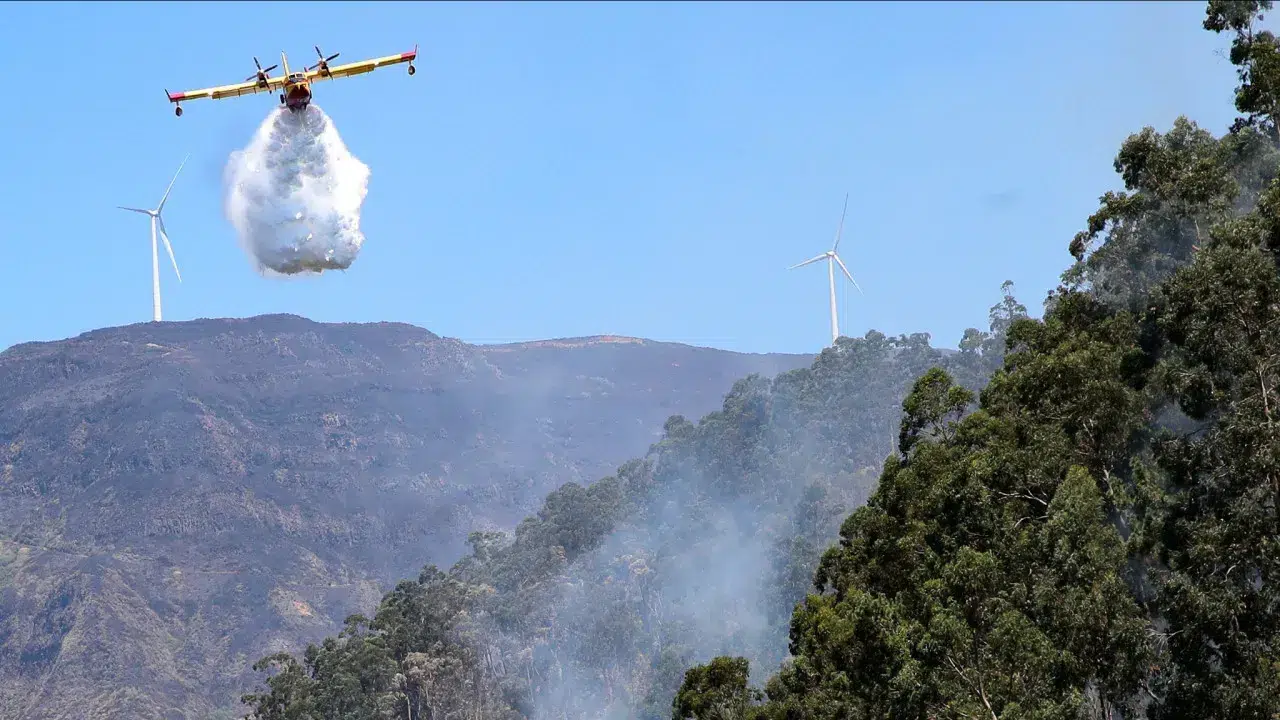 Madeira Civil Protection warns of fire danger due to heat