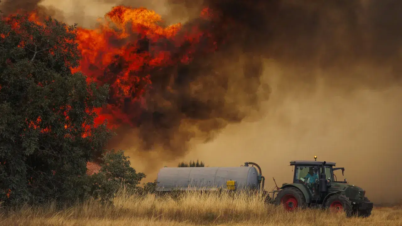 Mainland Portugal recorded 55 rural fires until 5:30 PM today.