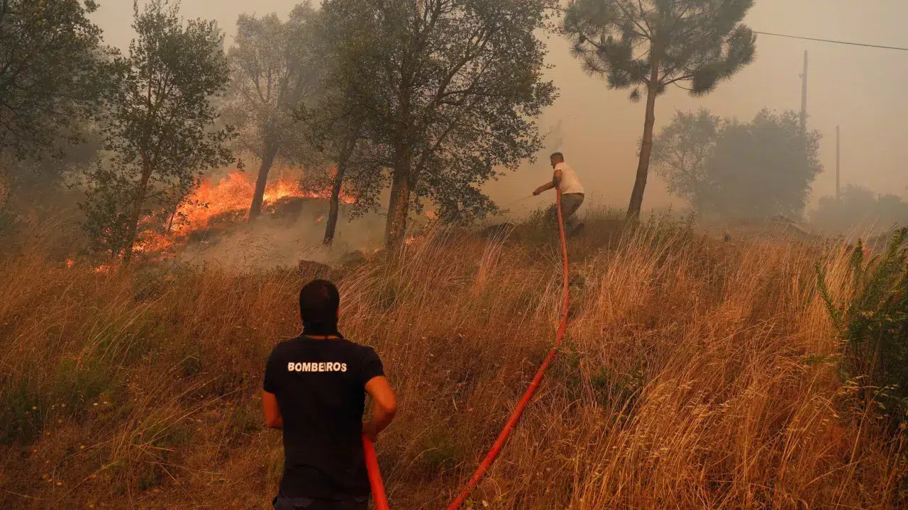 Man dies after being caught by machine in Mirandela fire