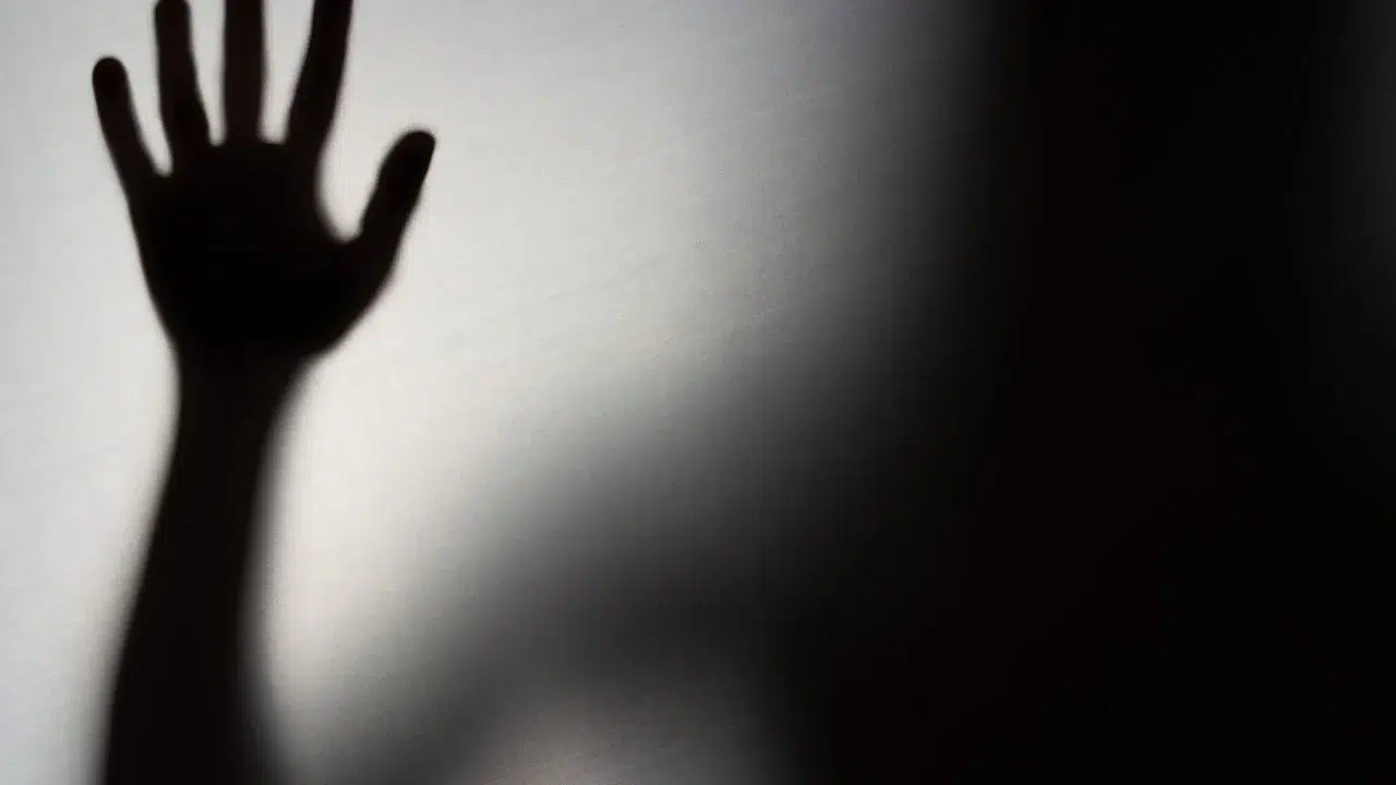 Man in pre-trial detention for assaulting partner in Odemira