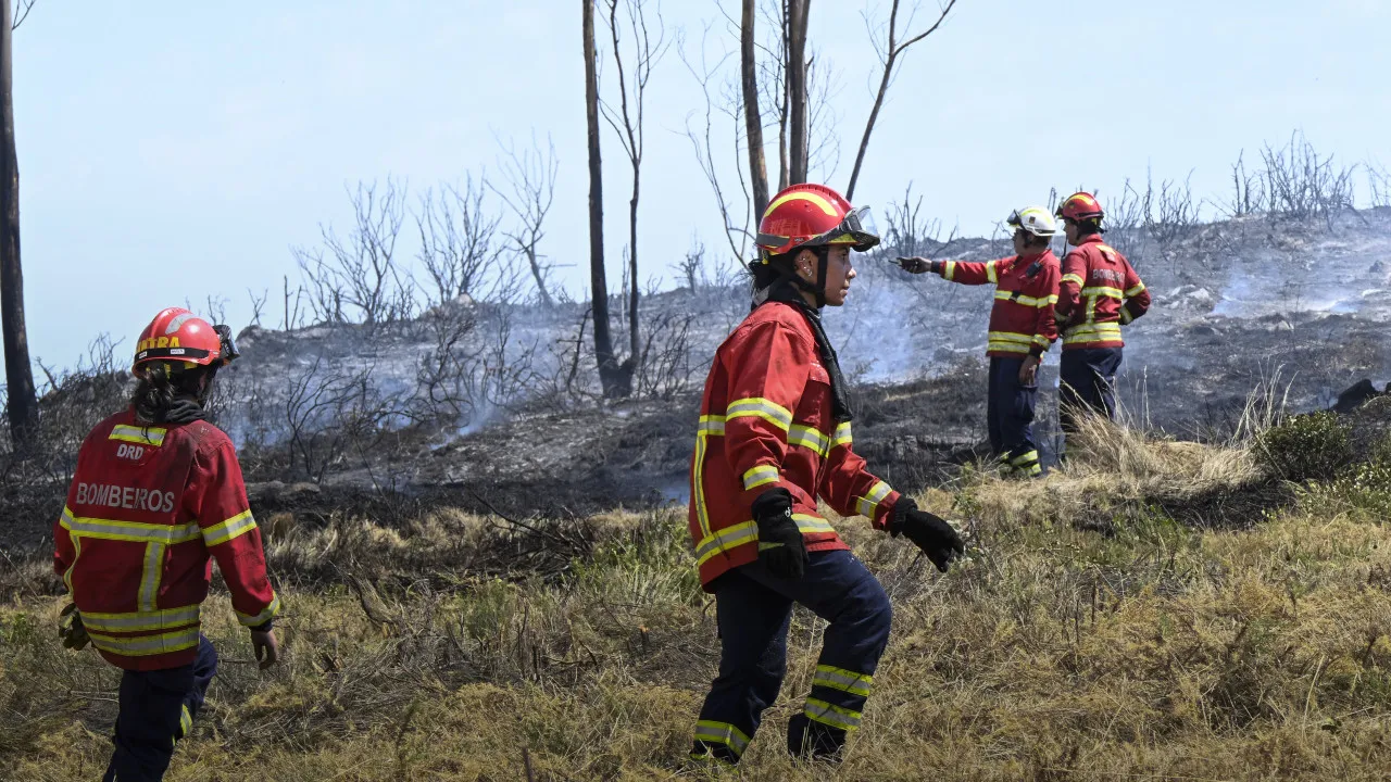 Man suspected of starting a forest fire in the municipality of Loulé arrested.