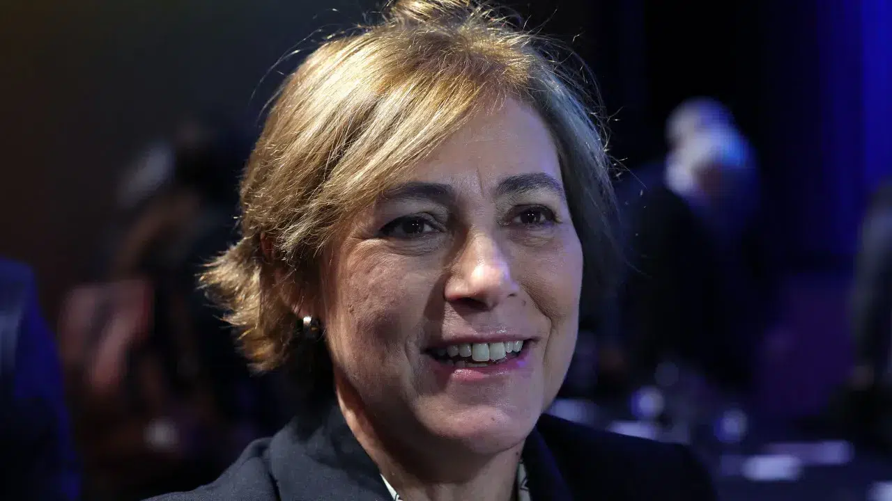 Maria do Rosário Pedreira is the honored writer of Escritaria 2025.