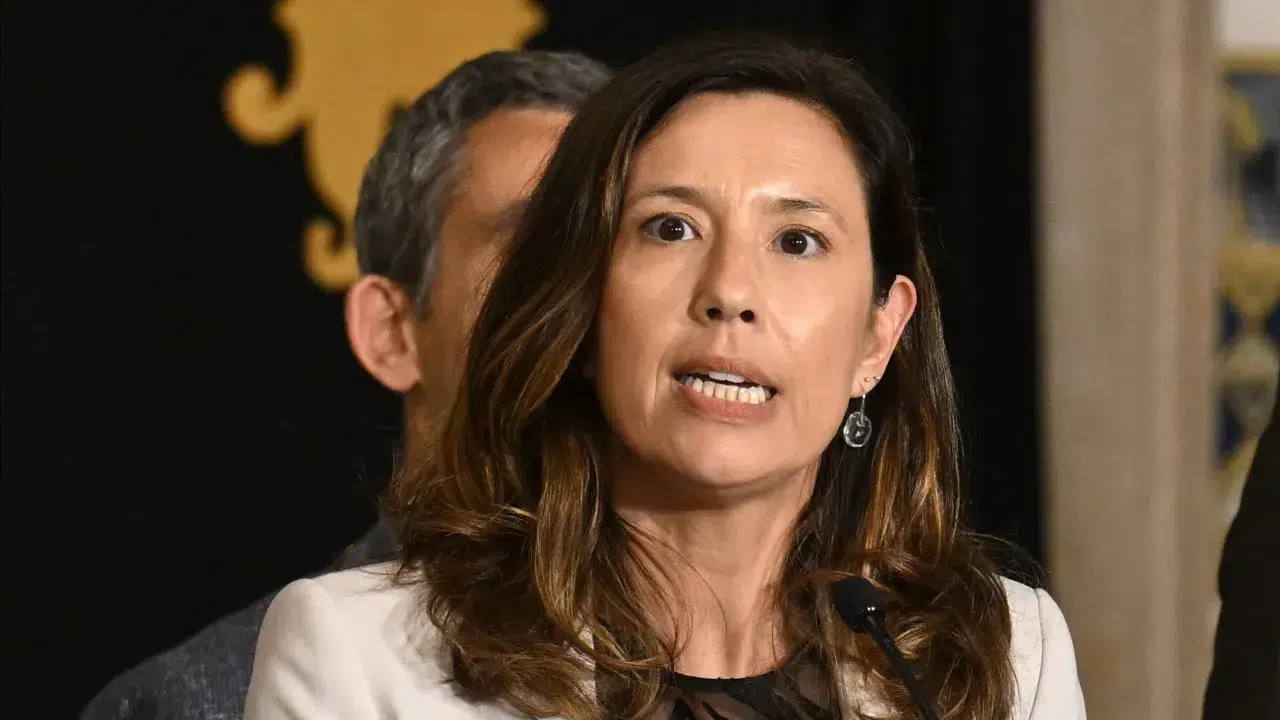 Mariana Leitão says that the state of alert due to fires "comes late"