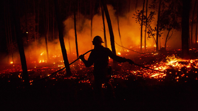 "May 2025 be the last year in which fires were not planned or prevented"