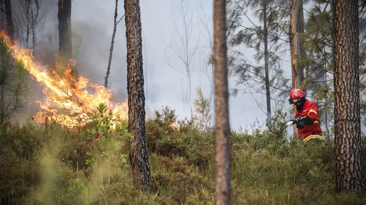 Mayor of Penedono: "We have all the parishes with fire outbreaks"