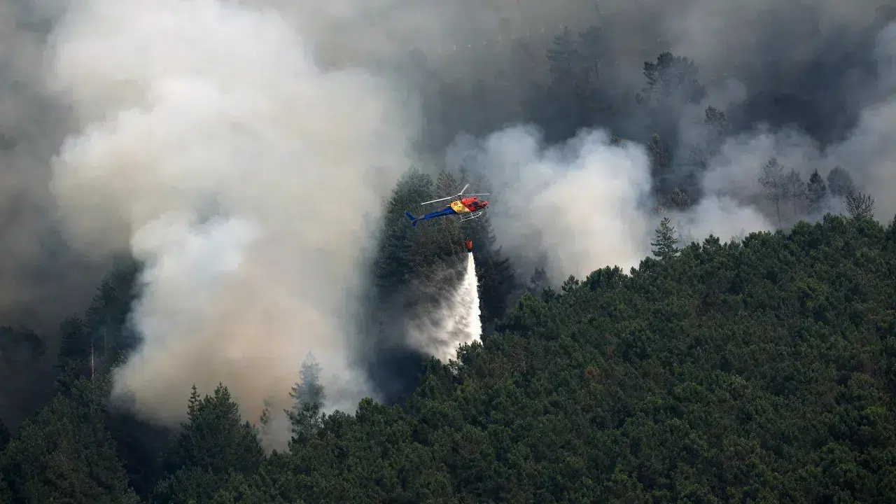 Mayor of Vila Real calls for additional resources for fire that has been burning for 2 days