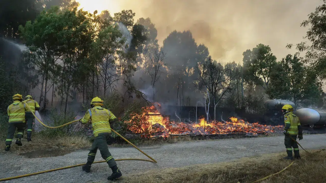 Mayor of Vila Real calls for additional resources: "They are insufficient"