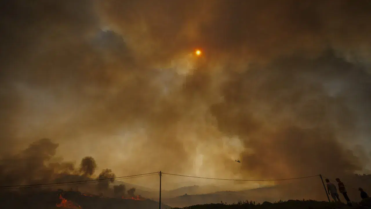 Mayor of Vila Real wants to know what "did not go well" in the Alvão mountain.