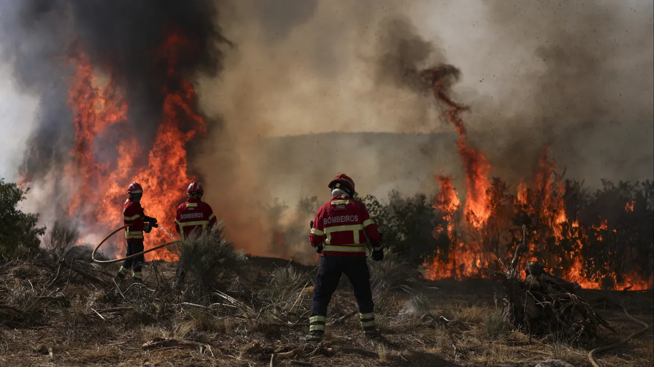 Means attempt to contain the flames in the Aigra Nova valley in Góis
