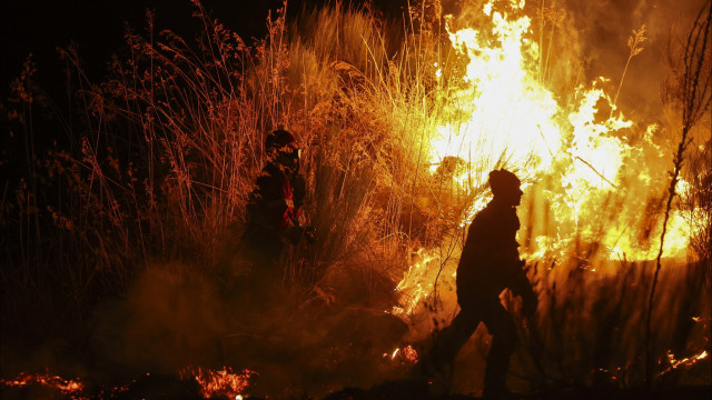 "Miracle." Pedro lost everything in the fire but managed to save the animals.