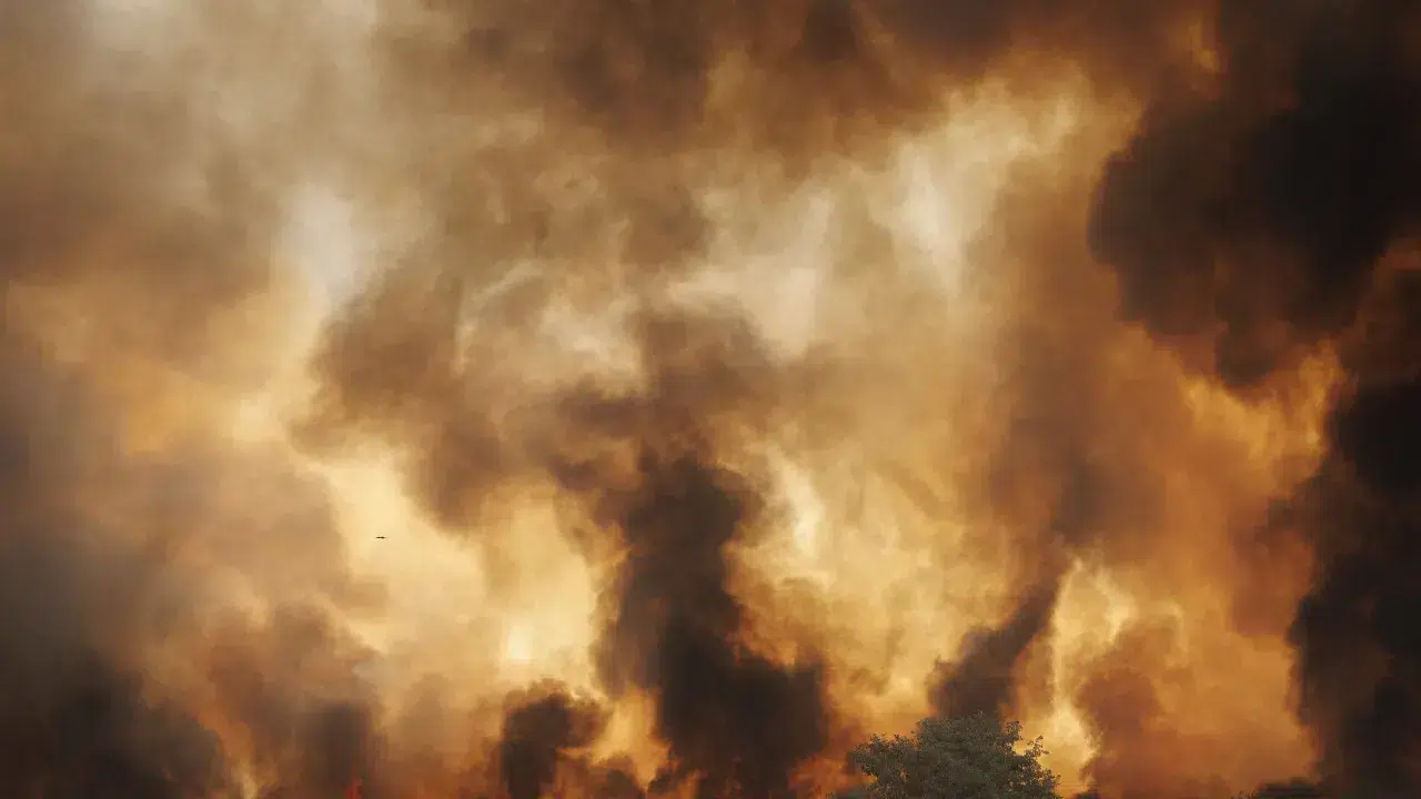 More than 1,600 operatives fight the flames in Portugal tonight