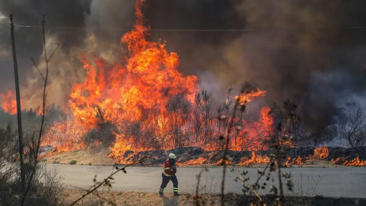 More than 1,600 operatives were fighting the 2 main fires at 12:30 AM