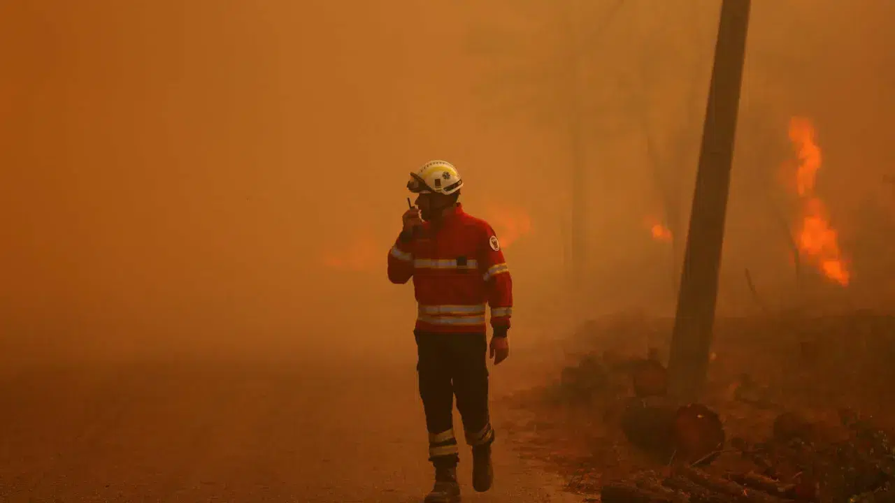 More than 170 were fighting at 11:45 PM fires in Montalegre and Vila Real.