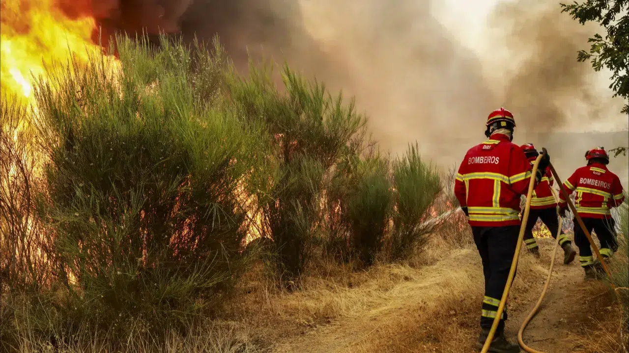More than 1,700 operatives were fighting the most concerning fires at 4:15 a.m.