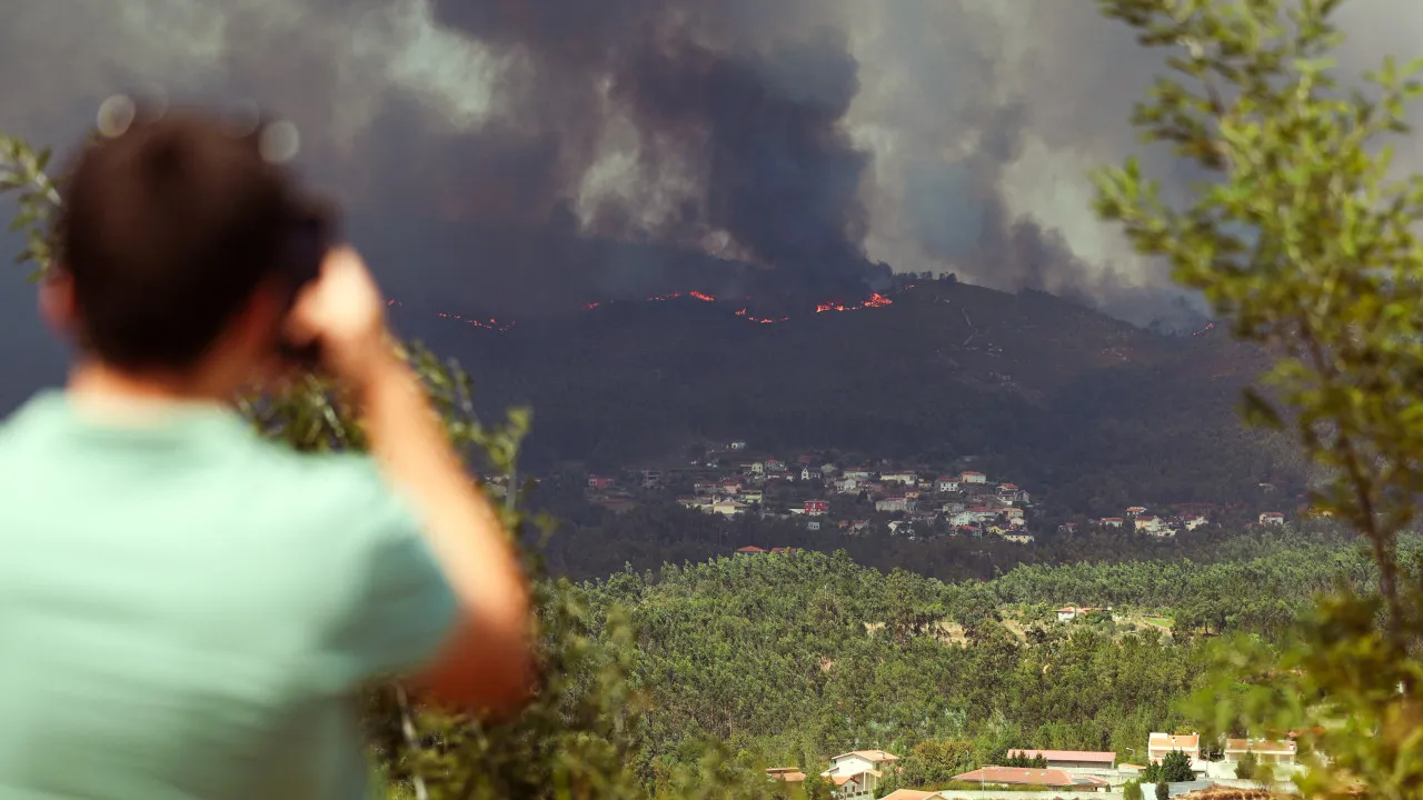 More than 1,800 hectares of burned area in the municipality of Terras de Bouro