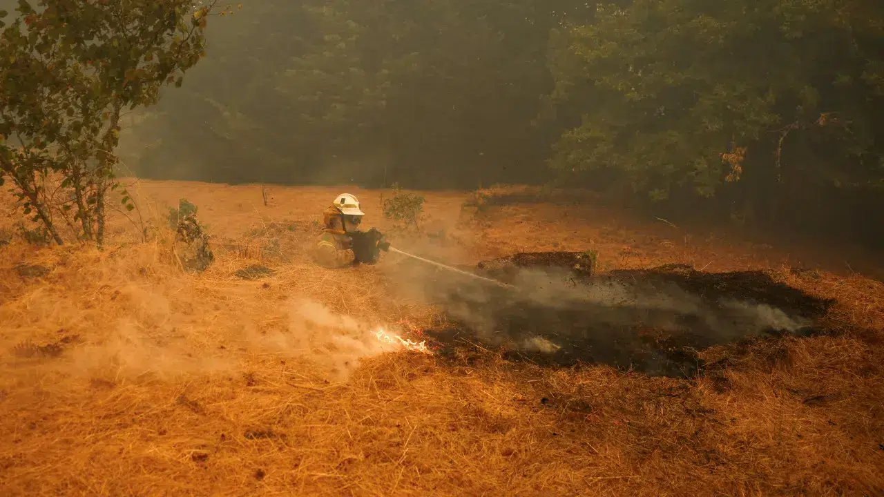 More than 240 firefighters battle flames in the Lousã mountains