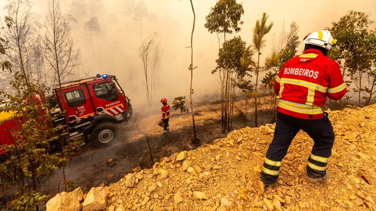 More than 2,600 operatives and 23 air assets were fighting fires at 4:00 p.m.