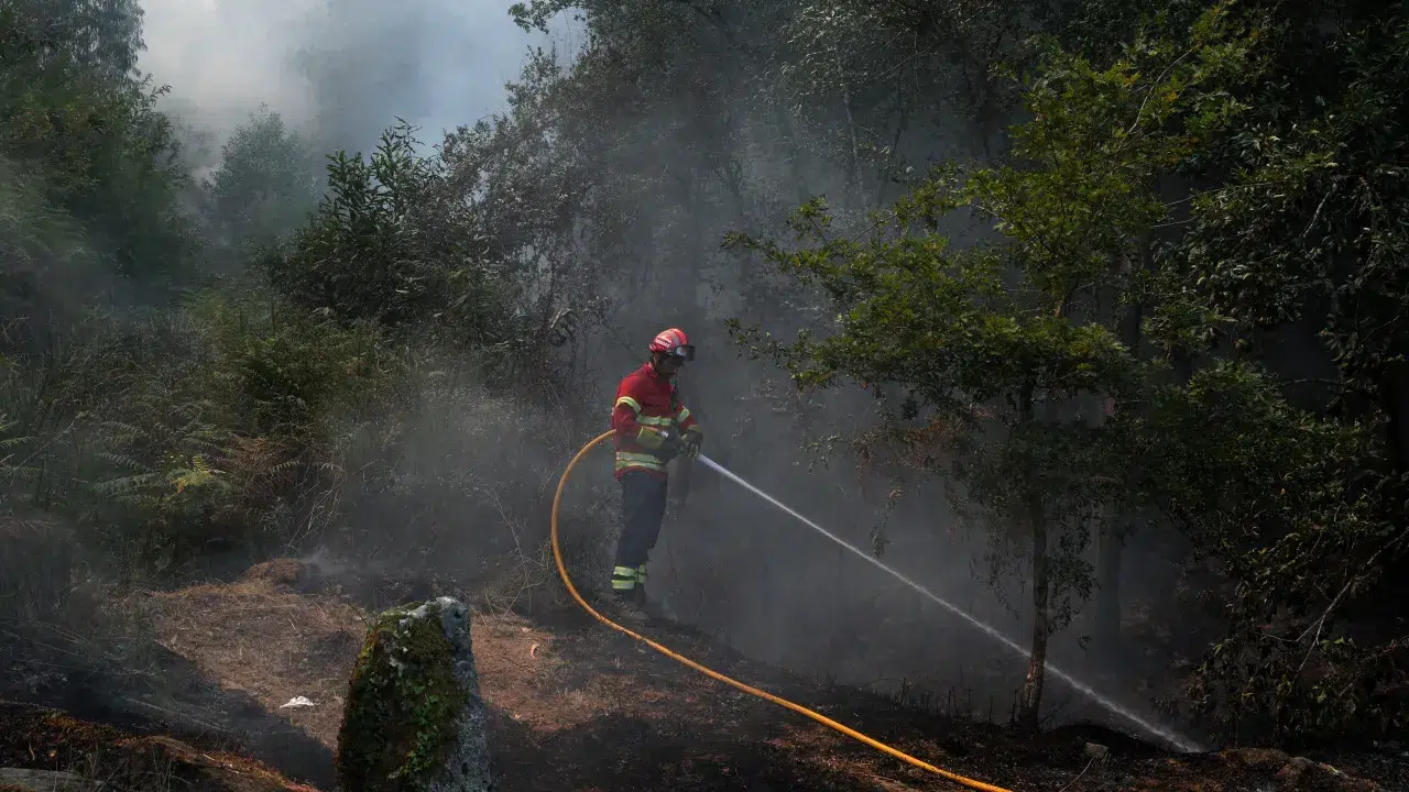 More than 40 fires in Portugal fought by 1,880 personnel at 9:00 p.m.