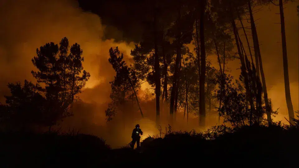 More than 40 municipalities at maximum fire risk this Thursday