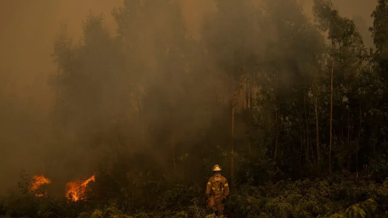 More than 80 municipalities at maximum risk of fire