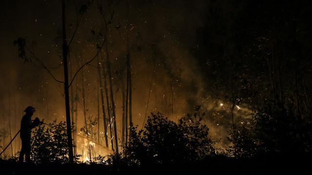Incendiários? Perfil aponta para homens, com baixa literacia e alcoólicos