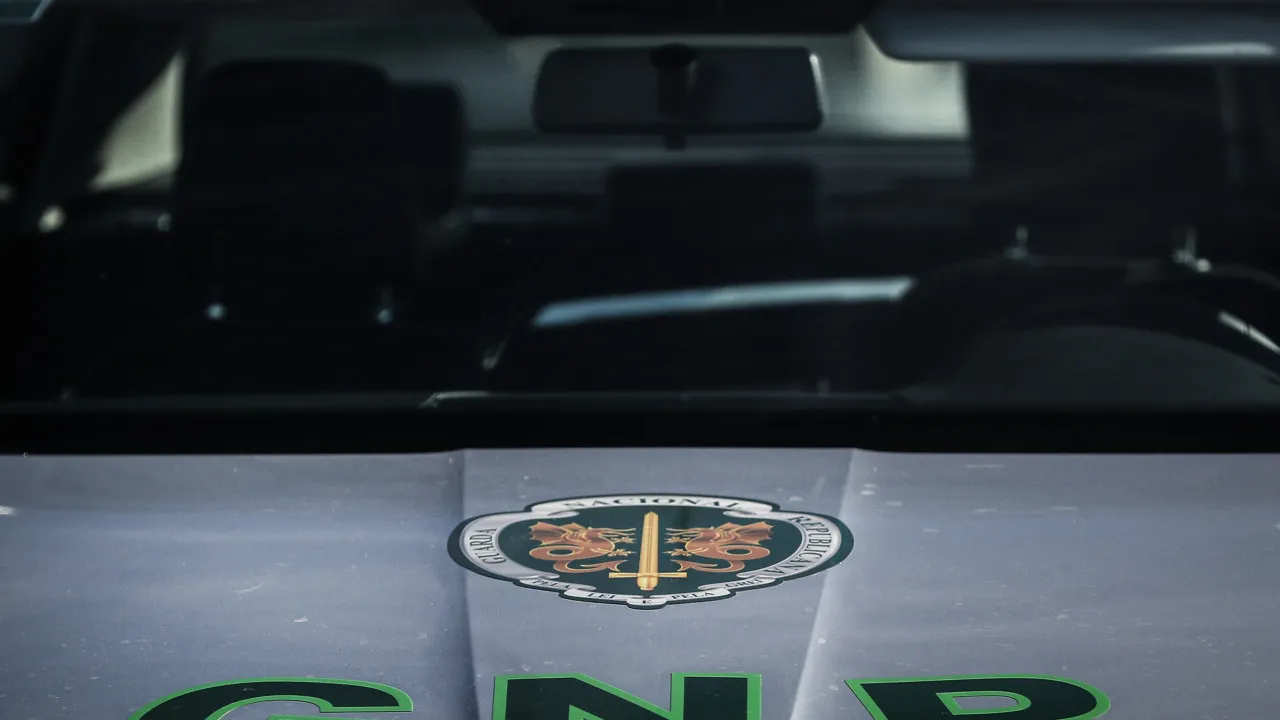 Mourão family and young Polish woman among the fatalities on the IP2