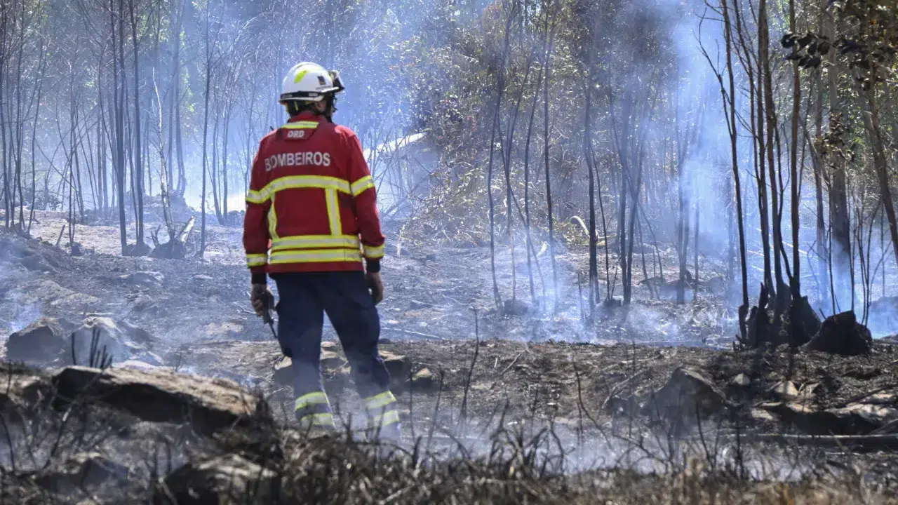 Movement claims respiratory problems in Cercal do Alentejo