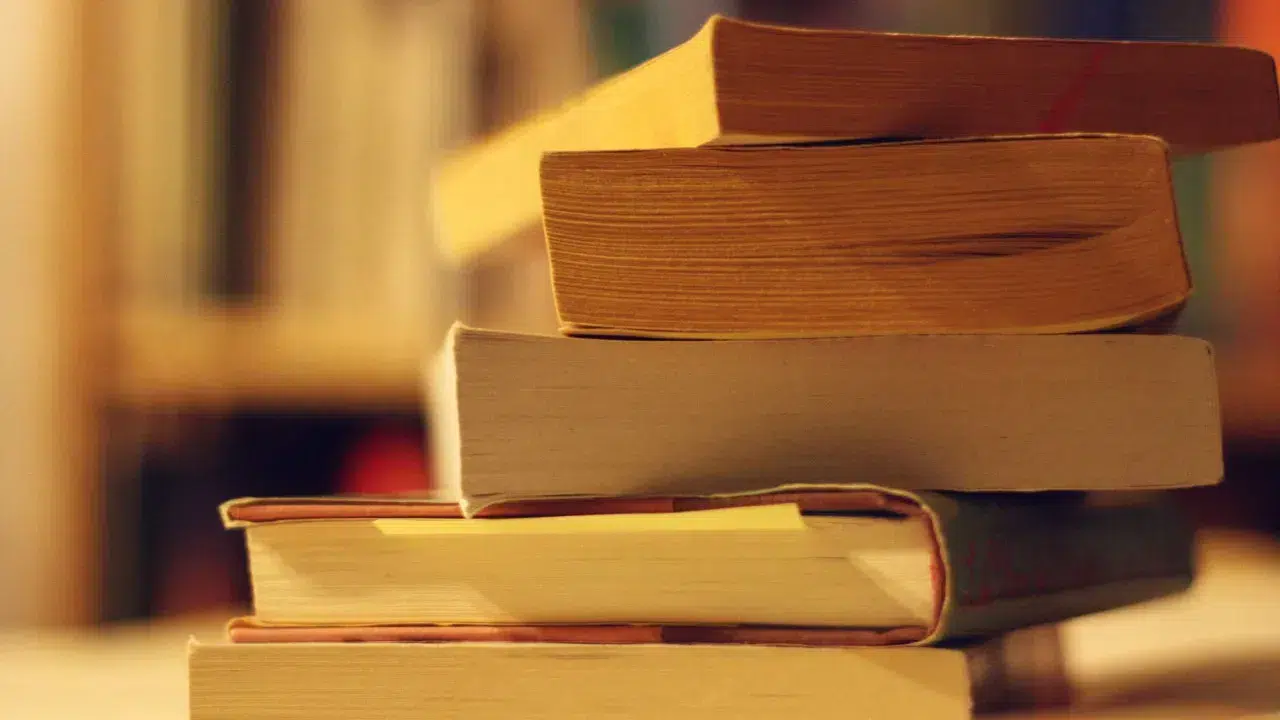 Natália Correia Prize awarded to writer João Pedro Porto