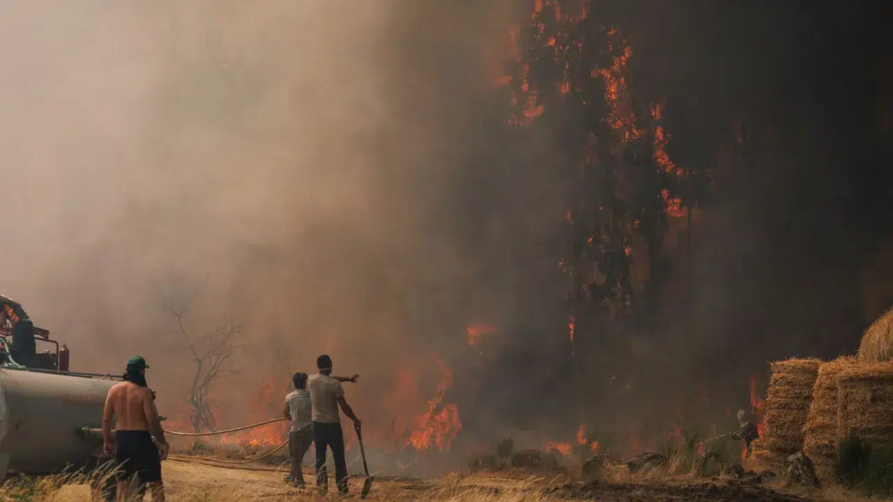 Northern Interior, Center, and Algarve at maximum fire risk
