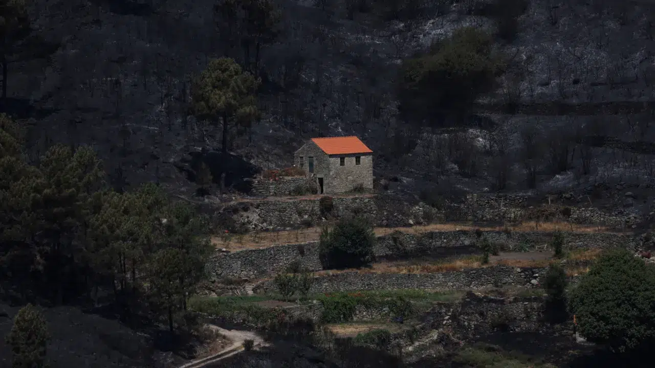 Operational in surveillance at the Figueira de Castelo Rodrigo fire