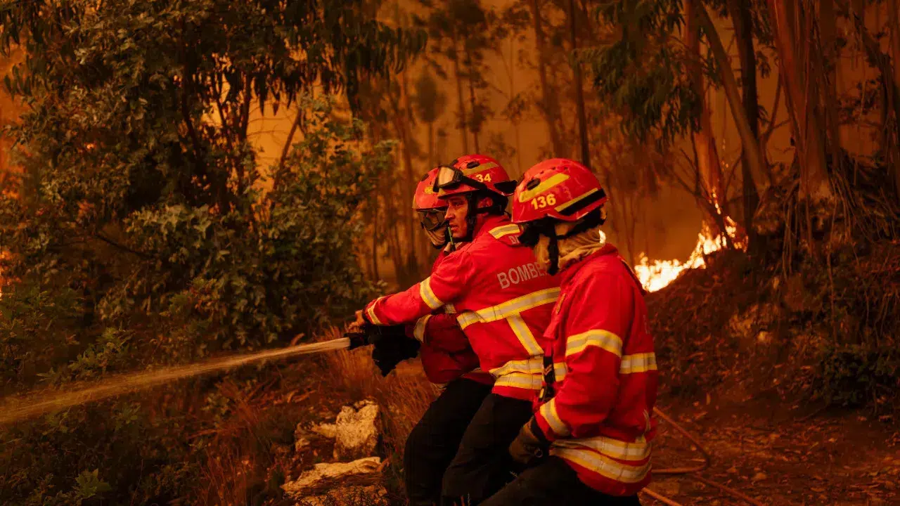 Pampilhosa da Serra holds meetings to assess damages