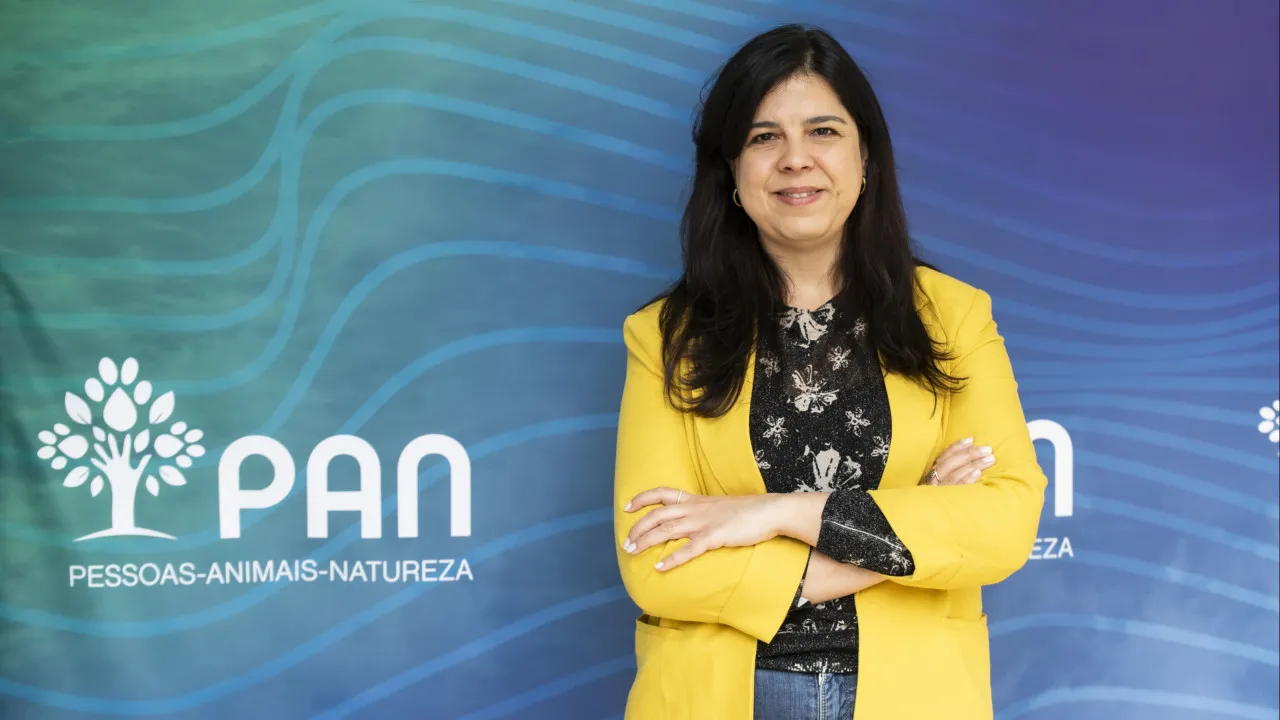 PAN bets on coalitions from BE to CDS-PP and faces internal divergences