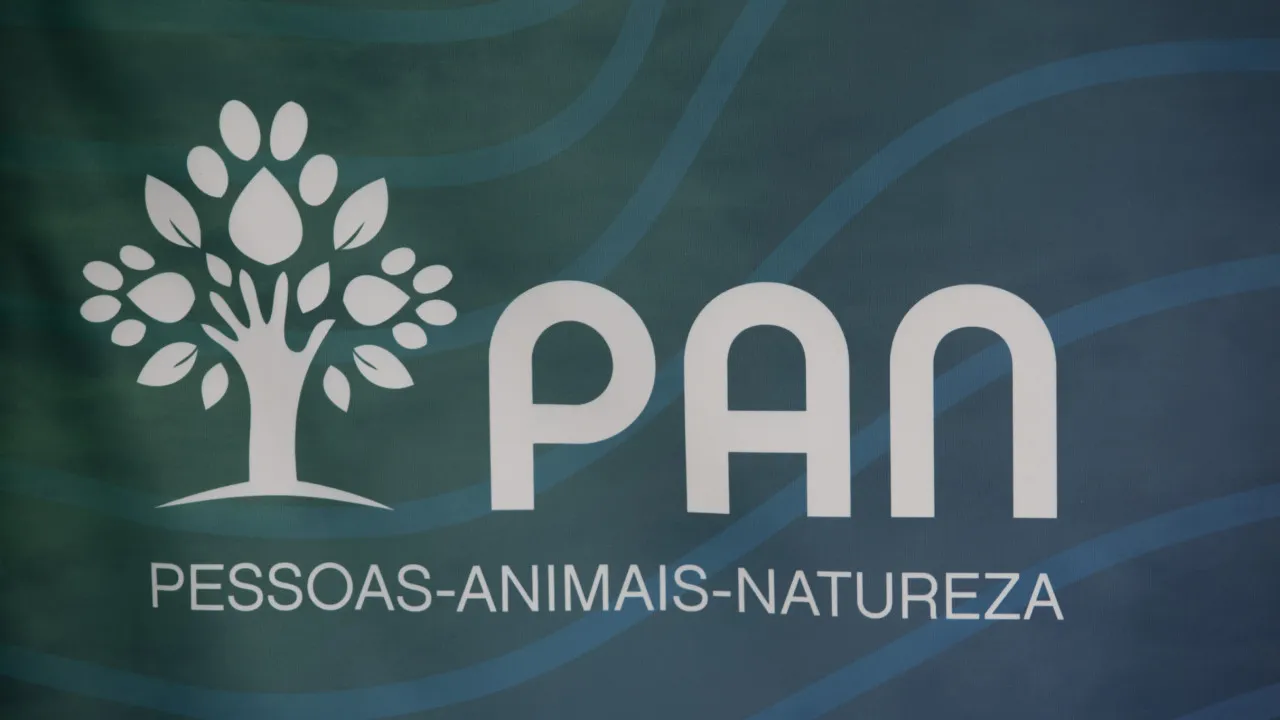 PAN bets on coalitions from BE to CDS-PP in the Municipal Elections